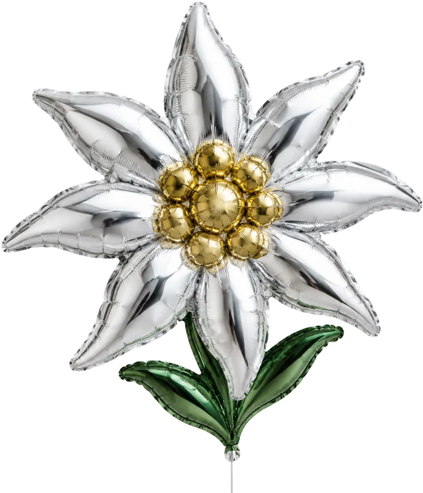 A chrome edelweiss balloon