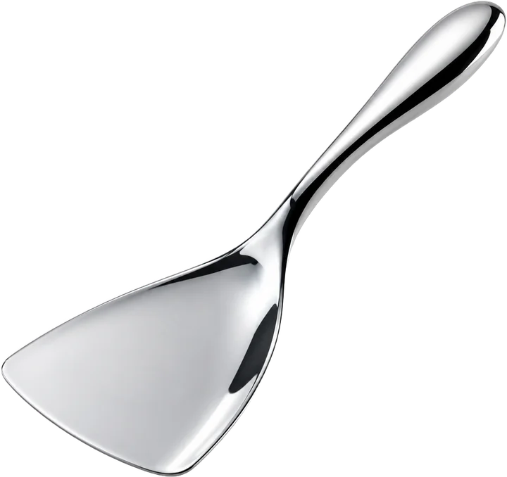 A mirror-chrome raclette spoon